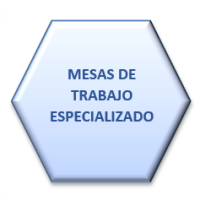 MESA DE TRABAJO ESPECIALIZADA